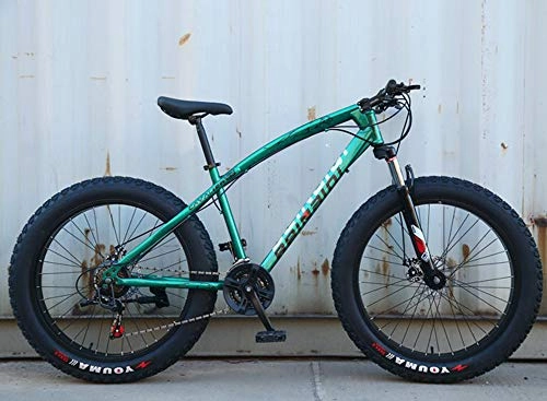 Fat Tyre Mountain Bike : WellingA Fat Tire Mens Mountain Bike, Mountain Bike, 26 Inch 7 / 24 / 27 Speed Bike, Men Women Student Variable Speed Bike, 010, 24stage Shift
