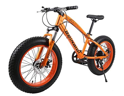 Fat Tyre Mountain Bike : XCBY Mountain Bike, Fat Bicycles - 26 Inch, Dual Disc Brakes, Wide Tires, Adjustable Seats Orange-21Speed