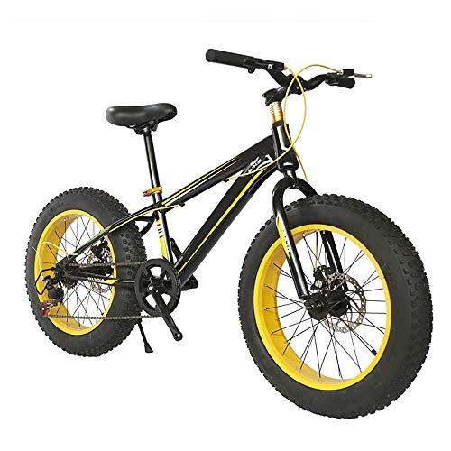 Fat Tyre Mountain Bike : XWDQ Variable Speed Off-Road ATV 20 Inch Disc Brakes Student Mountain Bike 4.0 Super Wide Tire Damping Snowmobile