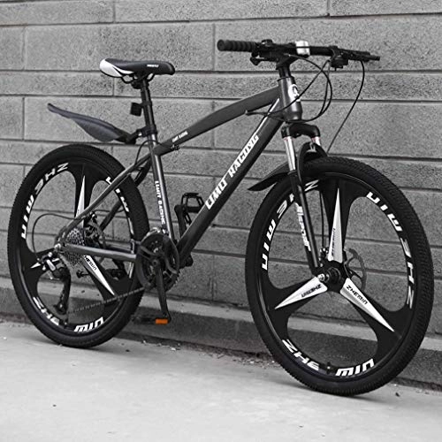 Mountain Bike : Adult Mountain Bike, High-Carbon Steel Frame Beach Bicycle, Double Disc Brake Off-Road Snow Bikes, Mium Alloy Integrated 26 Inch Wheels