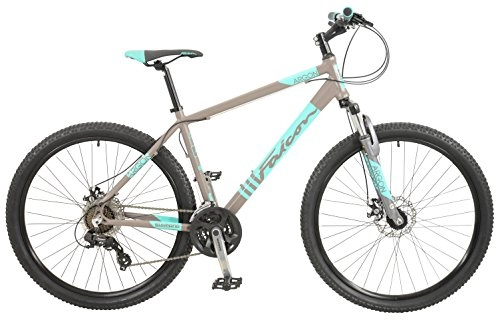 Mountain Bike : Falcon Men's Argon Mountain Bike-Grey / Teal, 12 Years, 19-Inch