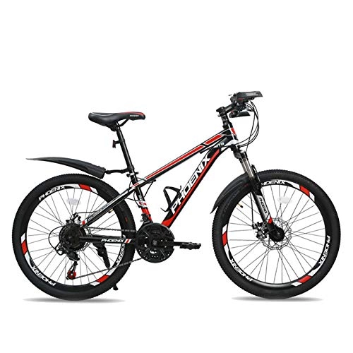 Mountain Bike : HUAQINEI 24 Inch Mountain Bike, 21-Speed Bicycle Full Suspension ?Gears Dual Disc Brakes Mountain Bicycle
