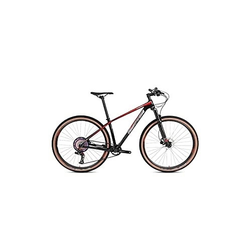 Mountain Bike : LANAZU Bicycle 2.0 Carbon Fiber Off-Road Mountain Bike Speed 29 Inch Mountain Bike Carbon Bicycle Carbon Bike Frame Bike (C 29 x19 inch)