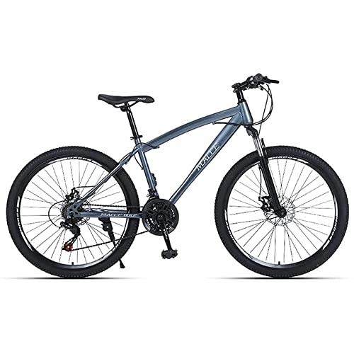 Mountain Bike : LapooH 26inch Mountain Bike, 21-30 Speed Youth Adult Women Road Bikes Light Steel Frame Double Disc Brake, Silver, 30 speed