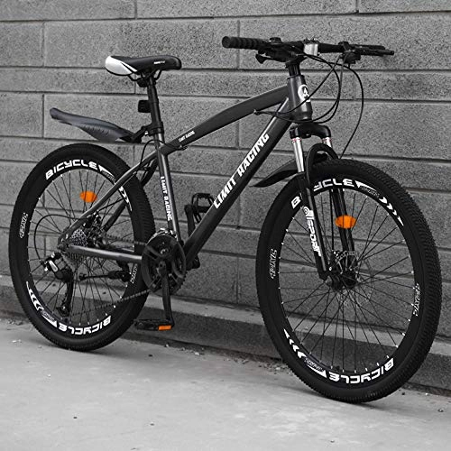 Mountain Bike : Mountain Bike Lightweight All Terrain MTB High-carbon Steel 21 Speed Variable Speed Double Disc Brake 26 Inches Road Bike E-24 Speed 24 Inches