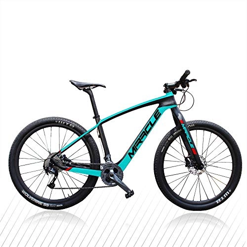 Mountain Bike : peipei M01 carbon hardtail mtb full bike 29er carbon fiber HMF 15.5 / 17.5 / 19 / 21 inch mountain bicycle-XT-REBA 11S_21 inch