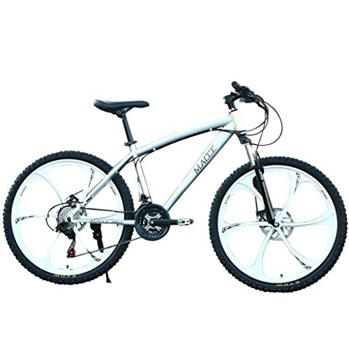 Mountain Bike : QIANSHION 26IN Carbon Steel Mountain Bike 24 Speed Bicycle Full Suspension MTB (Silver)