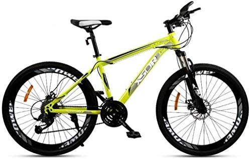 Mountain Bike : QZ Adult Mountain Bike, Double Disc Brake / High-Carbon Steel Frame Bikes, Beach Snowmobile Bicycle, 24 Inch Wheels, Green, 21 speed
