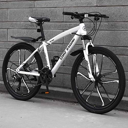 Mountain Bike : QZ Adult Mountain Bike, High-Carbon Steel Frame Beach Bicycle, Double Disc Brake Off-Road Snow Bikes, 24 Inch Ten Knives Magnesium Alloy Integrated Wheels (Color : White, Size : 24 speed)