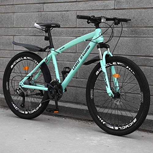 Mountain Bike : QZ Adult Mountain Bike, High-Carbon Steel Frame Beach Bicycle, Double Disc Brake Off-Road Snow Bikes, Aluminum Alloy 24 Inch Wheels (Color : Green, Size : 27 speed)