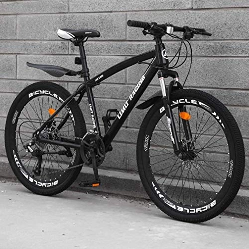 Mountain Bike : QZ Adult Mountain Bike, High-Carbon Steel Frame Beach Bicycle, Double Disc Brake Off-Road Snow Bikes, Aluminum Alloy 26 Inch Wheels (Color : Black, Size : 24 speed)