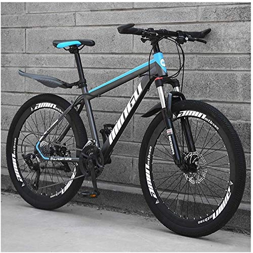 Mountain Bike : WSJYP Hardtail Mountain Bike 26", Double Disc Brake Frame Bicycle with Adjustable Seat, Country Men's Mountain Bikes 21 / 24 / 27 / 30 Speed, 24 speed-Gray Blue