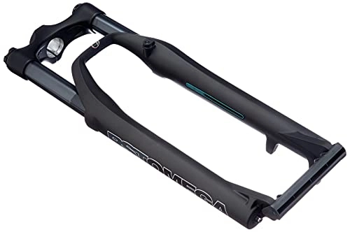 Mountainbike Gabeln : RST Unisex – Erwachsene Federgabel 26" Omega TNL, schwarz glänzend