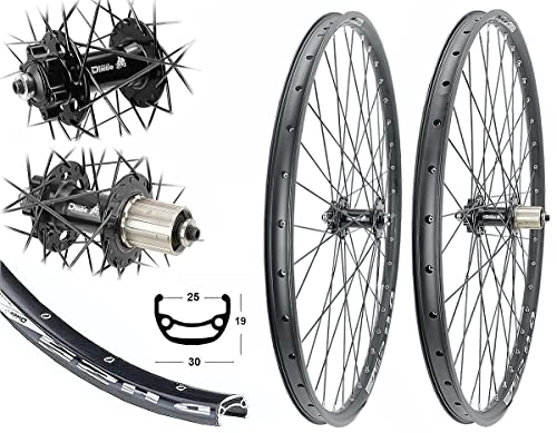 Mountainbike-Räder : Black Dingo Laufradsatz 28 / 29 Zoll Disc MTB 8 / 9 / 10fach 25-622 Hohlkammerfelge 6-Loch Scheibenbremse
