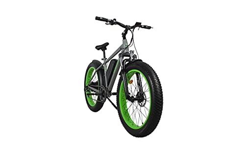 Elektrische Mountainbike : A4 Olympic Fatty Elektro-Mountainbike