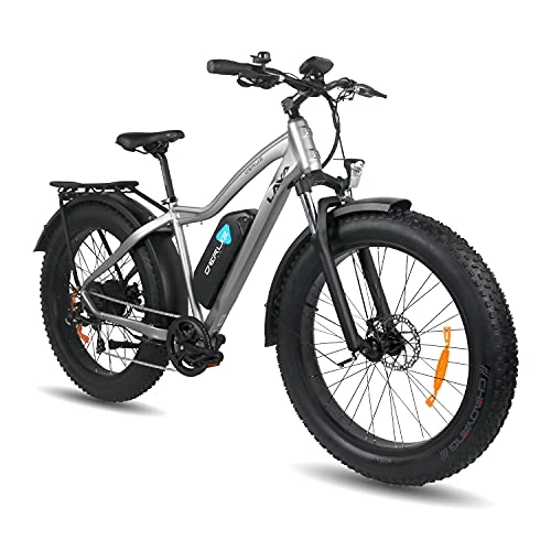 Elektrische Mountainbike : DERUIZ Lava E-Bike 26" Elektrische Fahrräder für Erwachsene Ebikes 48V Herausnehmbarer 13Ah Batterie Dicke Übergroße Reifen Fahrrad Beach Cruiser Fat Bike(Grau)