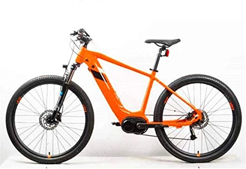 Elektrische Mountainbike : Elektrische Schnee Fahrrad, Elektrofahrräder, 36V14A Aluminiumlegierung Fahrrad 250 Watt Doppelscheibe Bremse Bikes Erwachsene Sportarten Outdoor Lith.