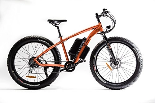 Elektrische Mountainbike : IC Electric Elektro fat bike X-Fat (orange)
