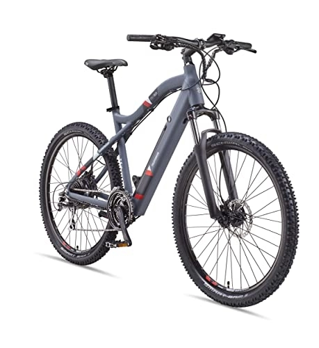 Elektrische Mountainbike : Telefunken E-Bike Mountainbike Elektrofahrrad Alu, 24 Gang Shimano Acera Kettenschaltung - Pedelec MTB 29 Zoll, Hinterradmotor 250W, Scheibenbremsen, Grau, Aufsteiger M922