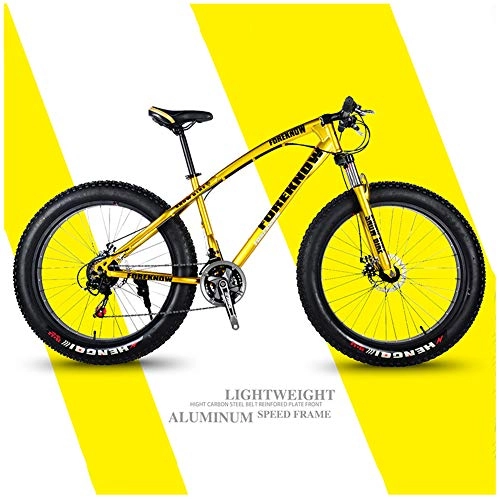 Fat Tire Mountainbike : LDLL Fahrrad Hardtail MTB Fat Tire Mountainbike, Variable Geschwindigkeit Gabelfederung Erwachsene Fahrrad, für Outdoor Sport Outroad Radfahren