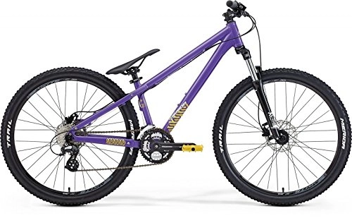 Fat Tire Mountainbike : Merida Hardy 6.70 lila / gelb Rahmengröße 33, 5 cm 2015 Dirt Bike