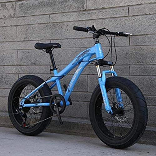 Fat Tire Mountainbike : ZY Fat Tire Bike Fahrrad, Mountainbike for Erwachsene und Jugendliche mit Scheibenbremsen und Frhling-Federgabel, High Carbon Stahlrahmen 5-25 (Farbe: D, Gre: 20inch 27 Speed) LOLDF1
