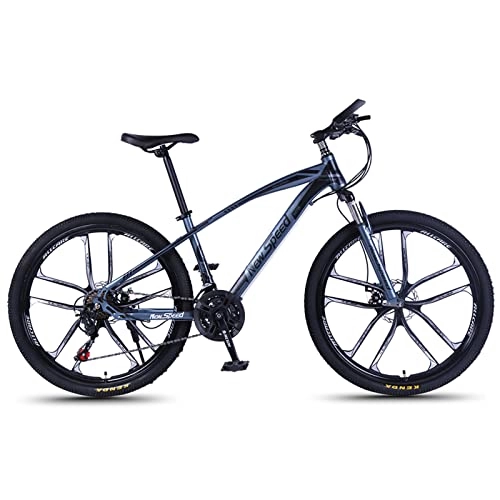 Mountainbike : AZXV Erwachsene Mountainbike, 21 Geschwindigkeiten Hänge mit hoher Kohlenstoffstahl MTB-Fahrrad, Aluminiumrahmen 24 / 26-Zoll-Räder, Dual-Scheibenbremse rutschfest, verstel blue1-24inch