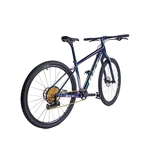 Mountainbike : yichengshangmao Kohlefaser-Mountainbike 12-Gang 29er Rad Doppelscheibenbremse MTB 142 * 12mm oder 148 * 12mm kompletter Boosterrahmen