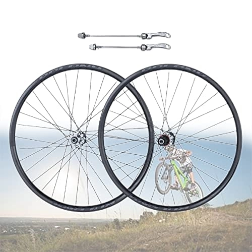 Mountain Bike Wheel : Asiacreate Mountain Bike Wheel 26 / 27.5 / 29" MTB Wheelset Disc Brake Quick Release Wheels 32H Sealed Bearing Hub Front+Rear Wheel For 8 / 9 / 10 / 11 Speed Cassette (Color : Titanium, Size : 29'')