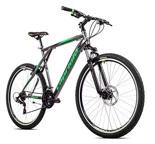 Vélo de montagnes : breluxx® VTT Hardtail FS Disk Adrenalin Sport 29" Gris / vert 21 vitesses Shimano, FS + freins à disque - Modèle 2020