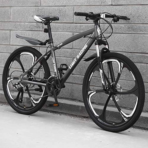 Vélo de montagnes : Dsrgwe VTT, 26” Mountain Bike, Cadre en Acier au Carbone Mountain Bicycles, Double Disque de Frein et de Suspension Avant (Color : C, Size : 21-Speed)