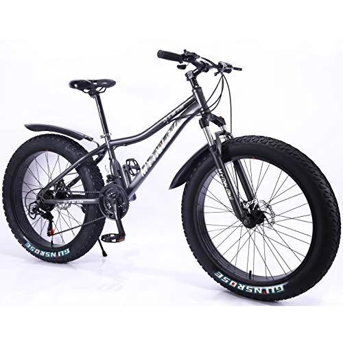 Vélo de montagnes : MYTNN Fatbike Vélo de montagne 26" 21 vitesses Shimano Fat Tyre 47 cm RH Snow Bike Fat Bike (Gris)