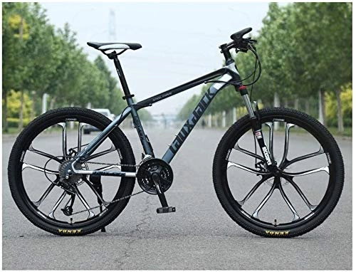 Vélo de montagnes : QGL-HQ Sports de Plein air VTT Suspension Avant 30 Gears Speed ​​VTT 26" 10 Roues avec Freins Spoke Double pétrole et HighCarbon Cadre en Acier, Gris Sports de Plein air Mountain Bike