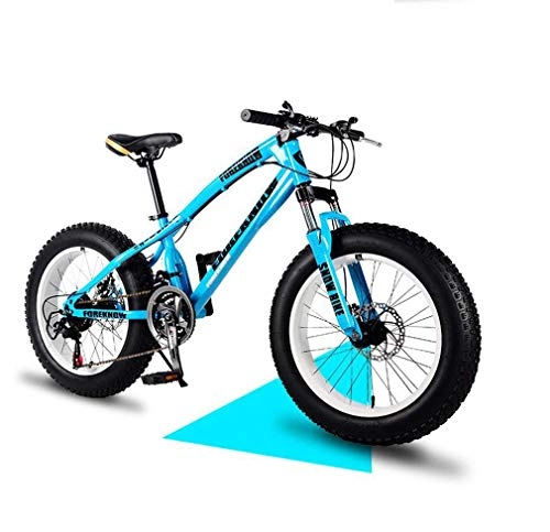 Vélos de montagne Fat Tires : AISHFP Fat Tire Mountain Bike Mens, Vélo de Plage, Double Frein à Disque 20 Pouces Cruiser Vélos, 4.0 Roues Larges, Vélo de Neige Adulte, Bleu, 24speed