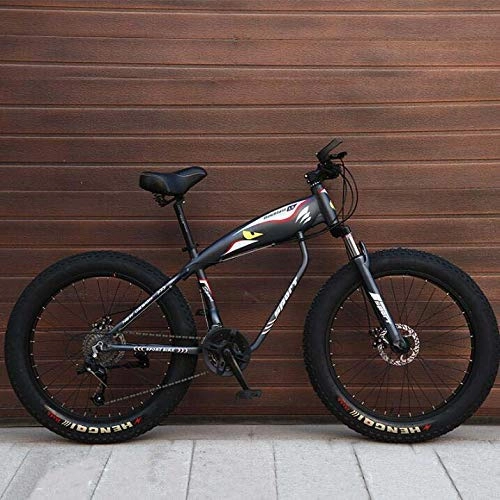 Vélos de montagne Fat Tires : ALQN Vlo de montagne pour adultes, Fat Mbt Bike, cadre en acier haute teneur en carbone, frein disque double, roues de 26 pouces, Gris, 24 vitesses