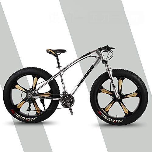 Vélos de montagne Fat Tires : F-JX 26" Mountain Bike, Double-Disque Montagne motoneige, Plage Fat Tire Vitesse de vélos, Cadre de vélo en Acier, Gris, 26 inch 21 Speed