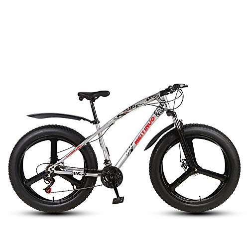 Vélos de montagne Fat Tires : QYL Fat Bike Vélo De Neige 26 inch 27 Vitesses Shimano 4.0 Gros Pneu Vélo De Montagne Vélo Vélo De Croisière Balade sur La Plage, Gray 2