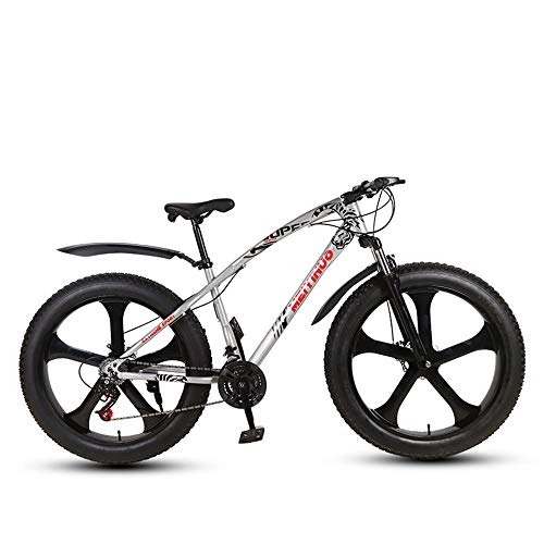 Vélos de montagne Fat Tires : QYL Fat Bike Vélo De Neige 26 inch 27 Vitesses Shimano 4.0 Gros Pneu Vélo De Montagne Vélo Vélo De Croisière Balade sur La Plage, Gray 3