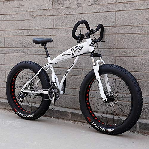 Vélos de montagne Fat Tires : WJH Fat Tire Vélo de montagne pour adulte, double frein à disque / cadre en acier à haute teneur en carbone, blanc, 24 vitesses, 66 cm