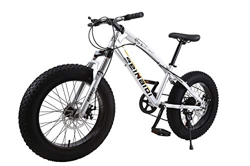 Vélos de montagne Fat Tires : XCBY VéLo De Montagne, Fat Bike - 26 Pouces, Freins à Double Disque, Pneus Larges, SièGes RéGlables White-24Speed