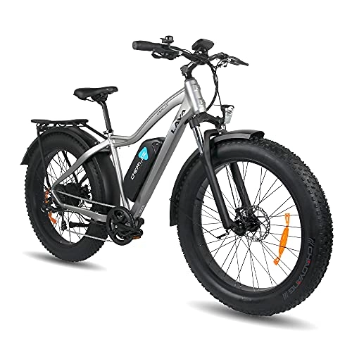 Vélos de montagne électriques : DERUIZ 26”Vélo électrique 750W Fat Bike vélo de Montagne, VTT de neige, Amovible Batterie au Lithium-ION 48V 676Wh, Shimano 7 Vitesses, E-Bike pour Adulte