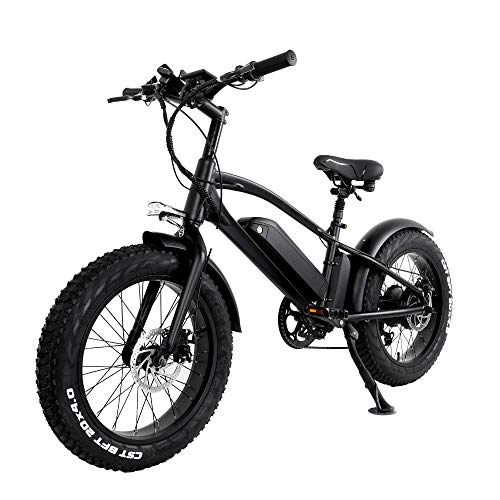 Vélos de montagne électriques : Vélo électrique Fat Bike vélo de Ville VTT 26 Pouces Moteur 750W Double Batterie 48V 10Ah pour Adulte Homme et Femme