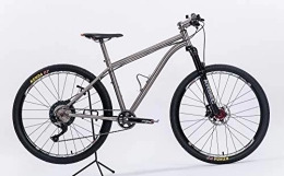 ATCN Bici ATCN Titanium Bike per adulti e ragazzi