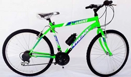 FAMEA Mountain Bike Bici FAEMA 26 MTB Uomo Verde Fluo