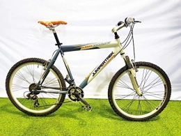 CINZIA Mountain Bike CINZIA Bici Bicicletta 26' Modello Boomer MTB Mountain Bike (Blu-Bianco, 47 H)