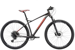 HEAD Mountain Bike HEAD X-Rubi 4.0, Mountain Bike Unisex Adulto, Grigio Metallico / Rosso, 56