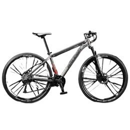 HESND Mountain Bike HESND ZXC Biciclette per Adulti 29 Pollici Ammortizzatore Mountain Bike Lega di Alluminio Bicicletta Femminile e Maschio 33 Velocità Variabile Bici Da Strada (colore: Grigio, Dimensioni: 29" 24 Speed)