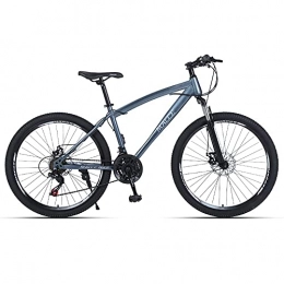 TBNB Mountain Bike TBNB Hardtail Mountain Bike, Biciclette da Strada per Giovani Adulti da Donna, 21-30 velocità, Telaio in Acciaio Leggero, Doppio Freno a Disco e Forcella Ammortizzata (Argento 24 pollici / 27 veloc