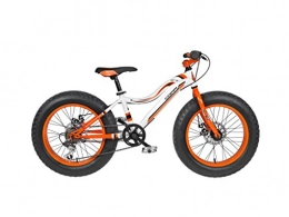 FREJUS Bicicletas de montaña Fat Tires Frejus Fat Bike 20" - Bicicleta de Fat Bike Junior para nio, 6 velocidades, Cuadro Acero, Blanco / Naranja