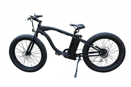 Mudpuppy Bike Electric Beach Bike